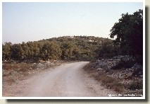 Kefalonia - Cyclopean Wall Track